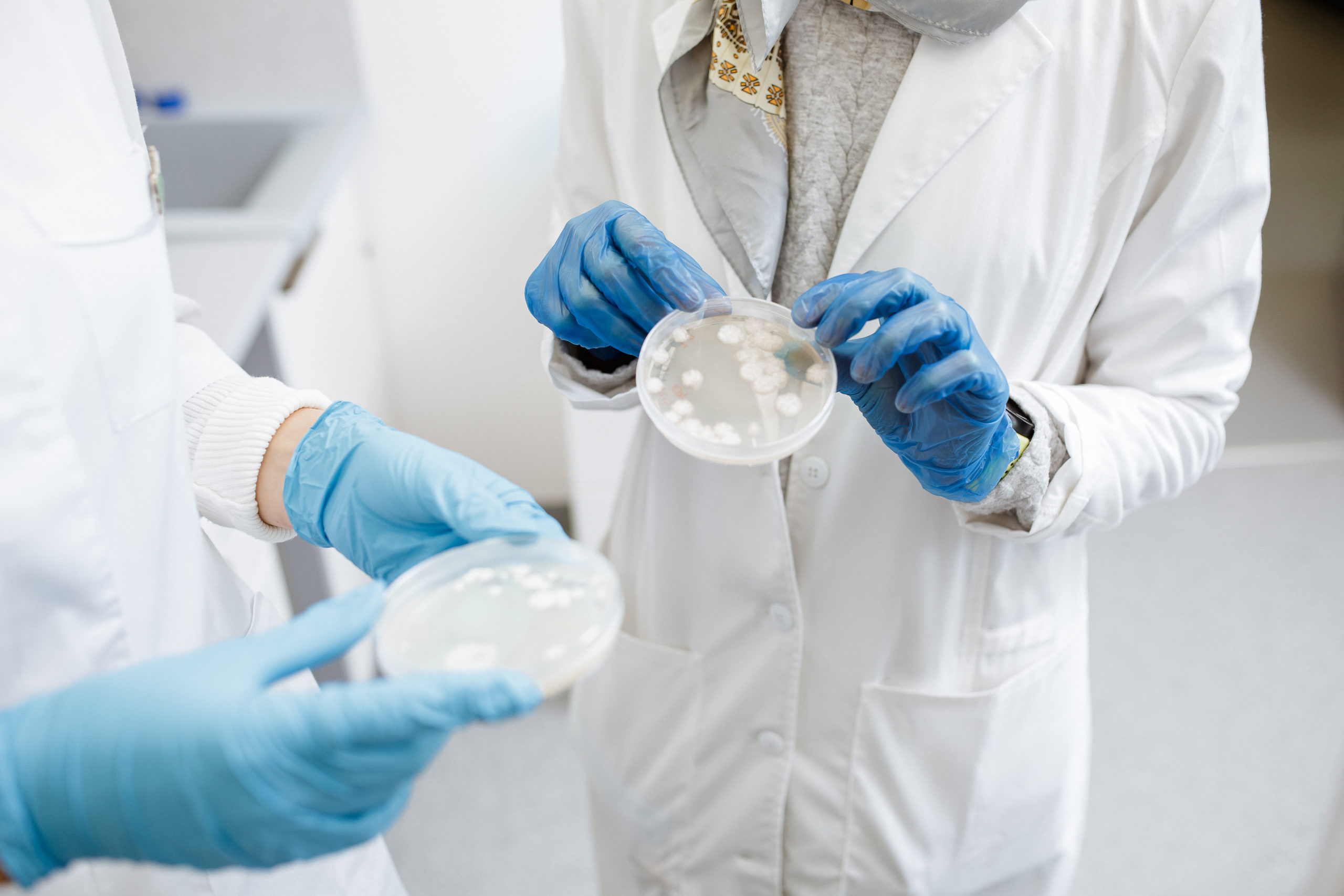 Joint Master Programme in Marine Biotechnology