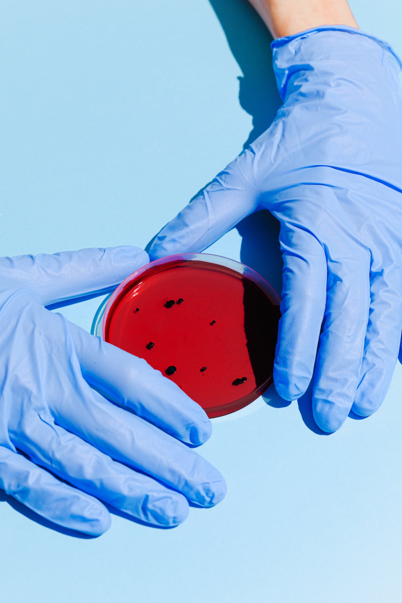 Animal welfare in research labs