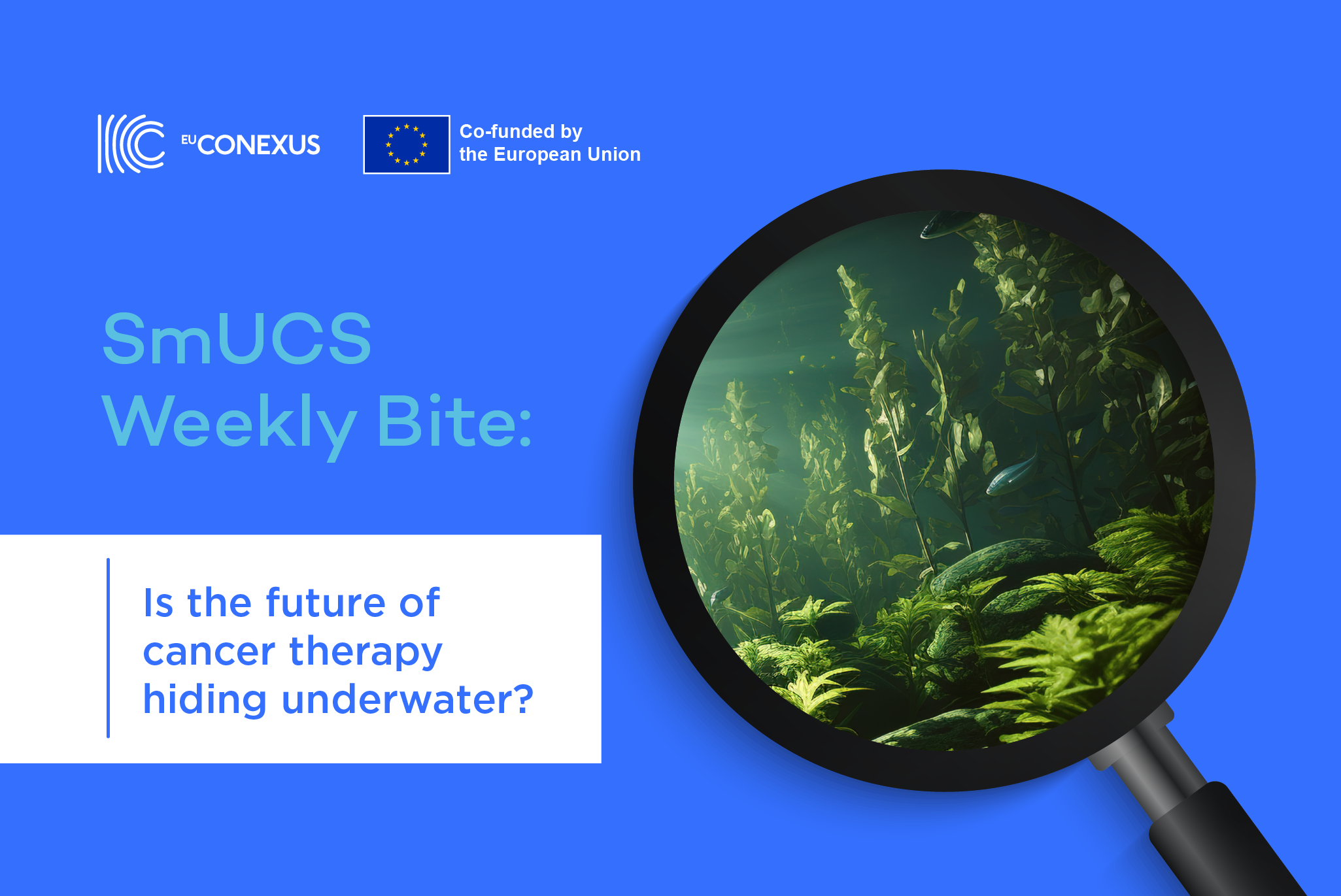 SmUCS Weekly Bite : Is the future of cancer therapy hiding underwater?