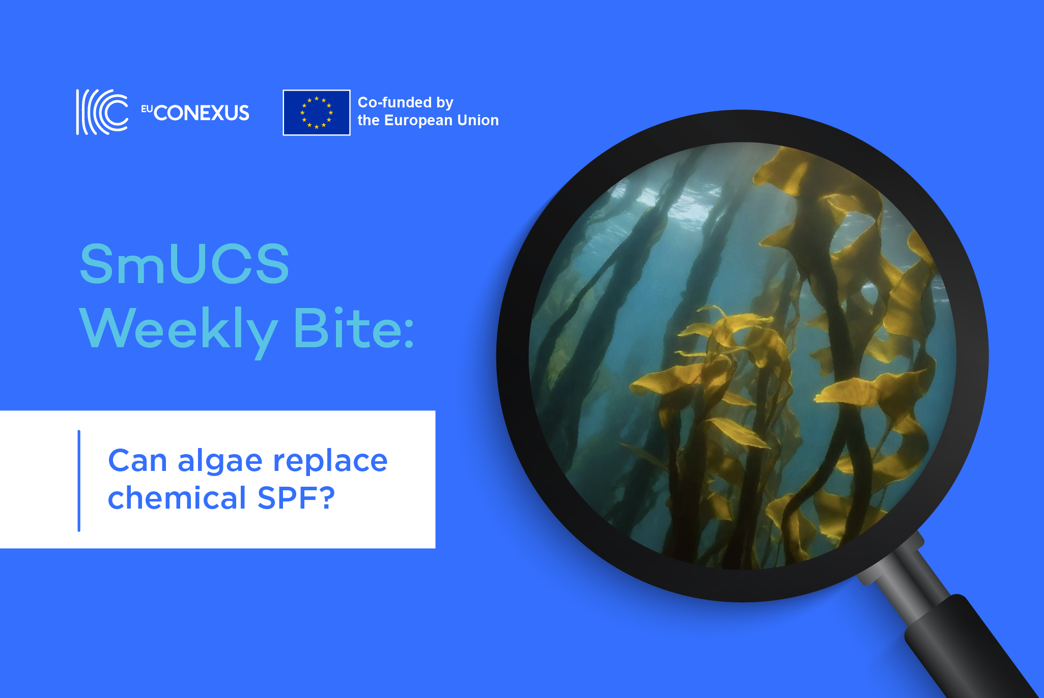 SmUCS Weekly Bite : Can algae replace chemical SPF?SmUCS Weekly Bite :