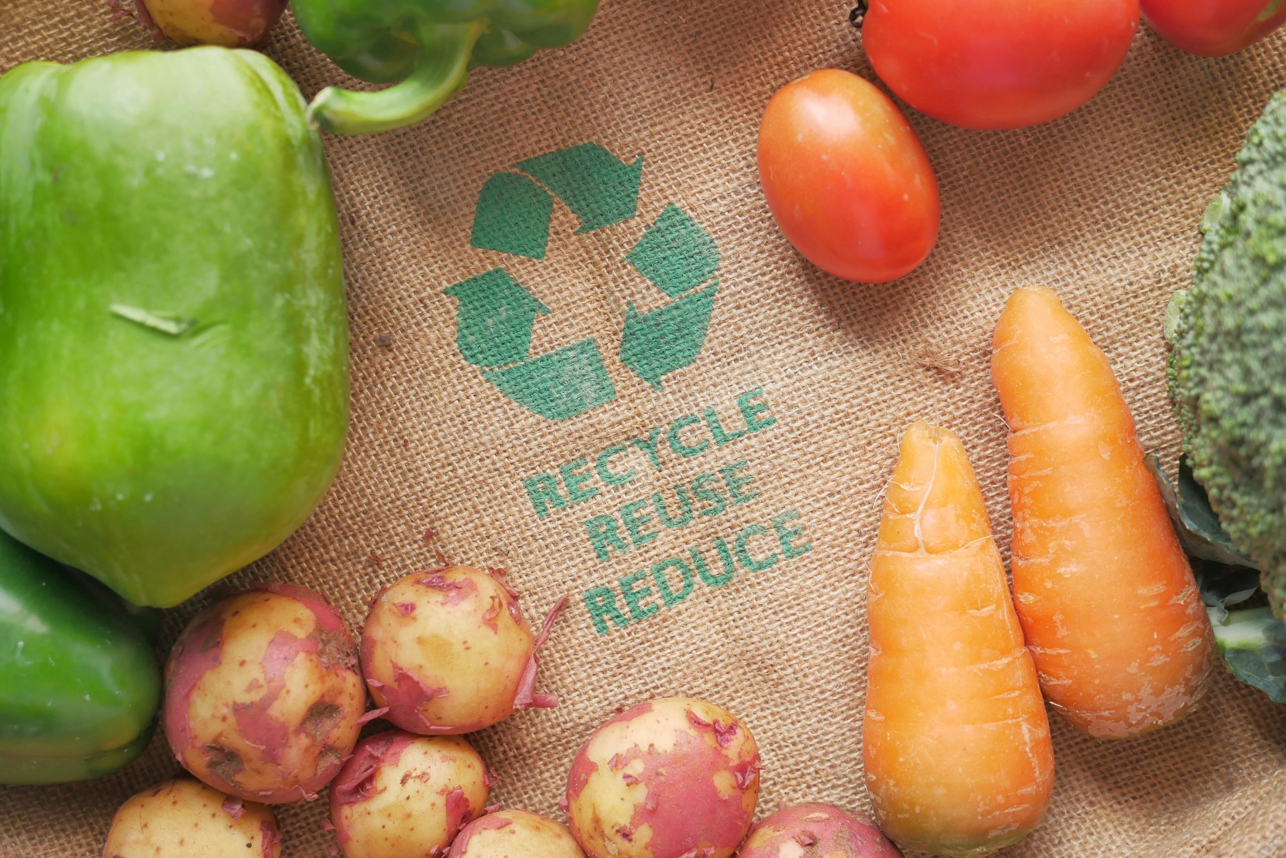 Valorization of Food Waste to Develope Biodegradable Packaging Materials