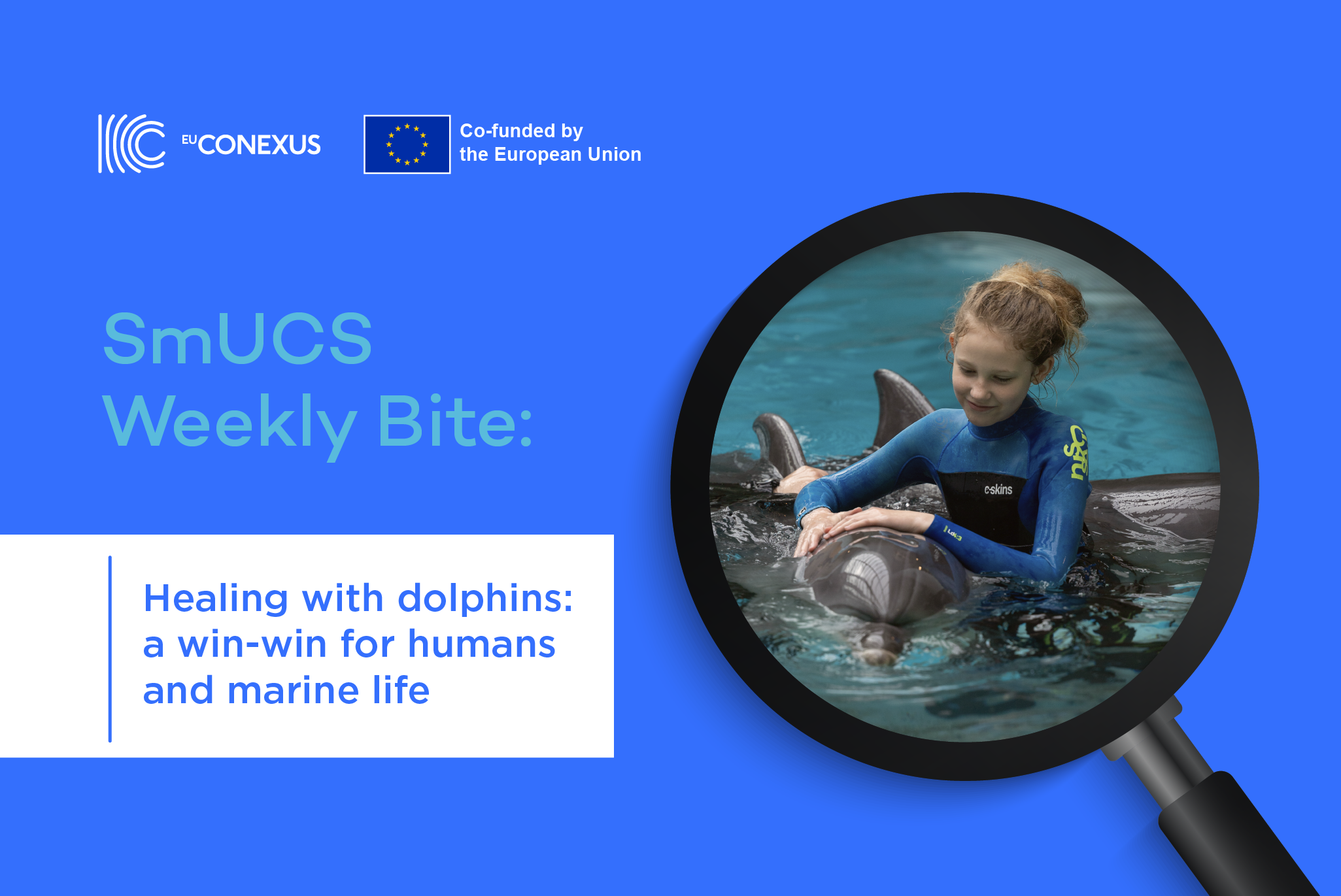 SmUCS Weekly Bite | Healing with dolphins: a win-win for humans and marine life