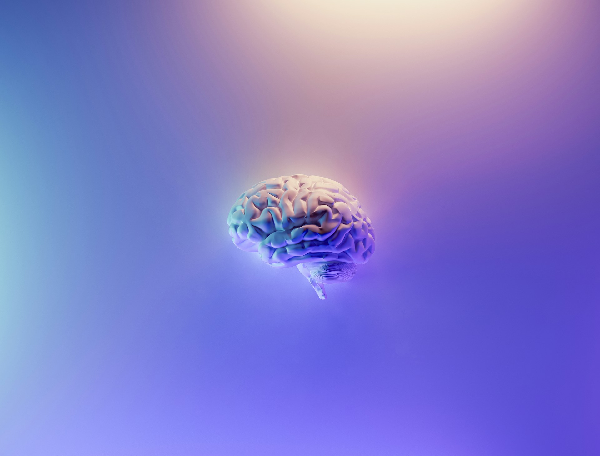 Your Brain on Happiness: Chemistry, Connections, and the Pursuit of Well-Being