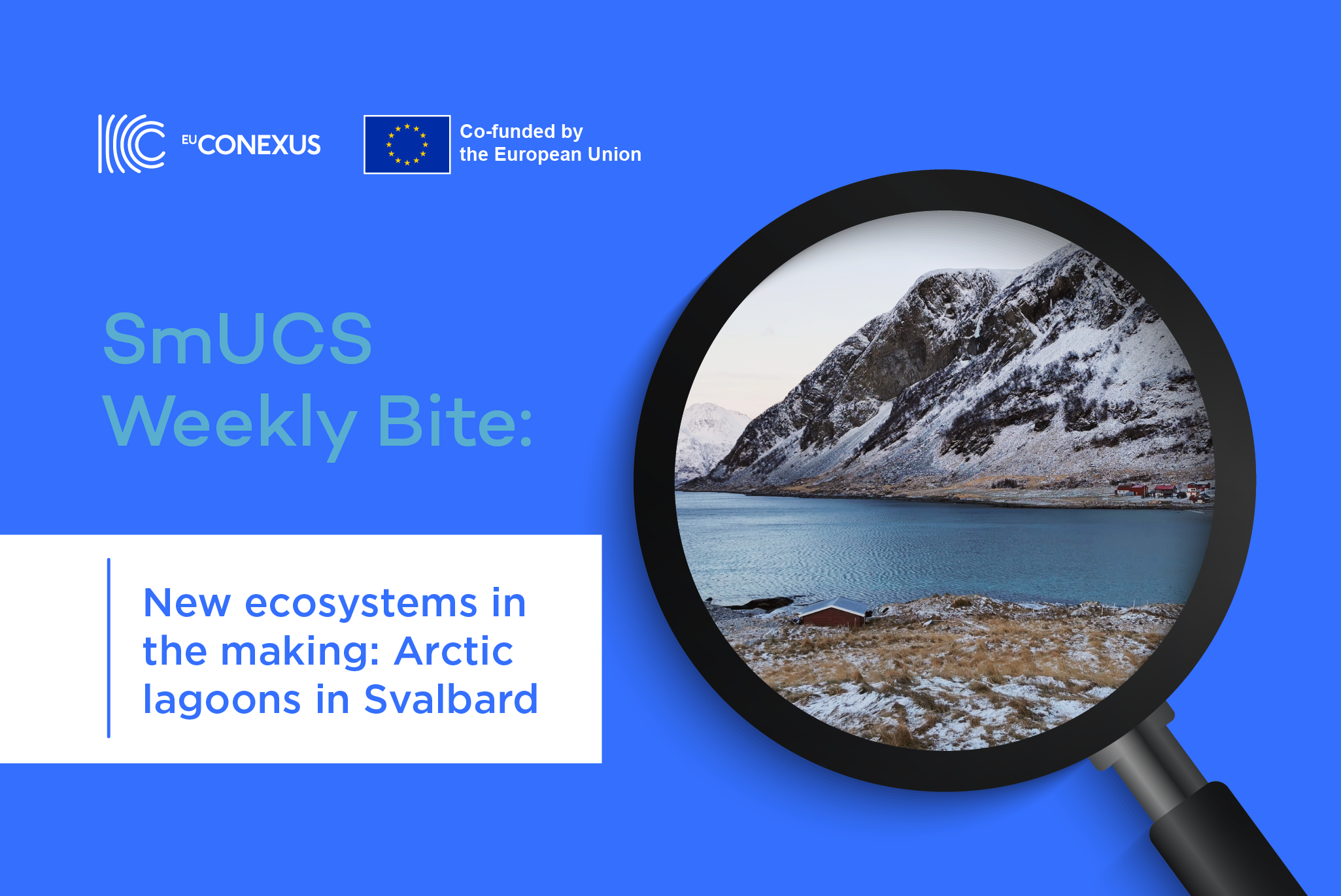 New ecosystems in the making: Arctic lagoons in Svalbard