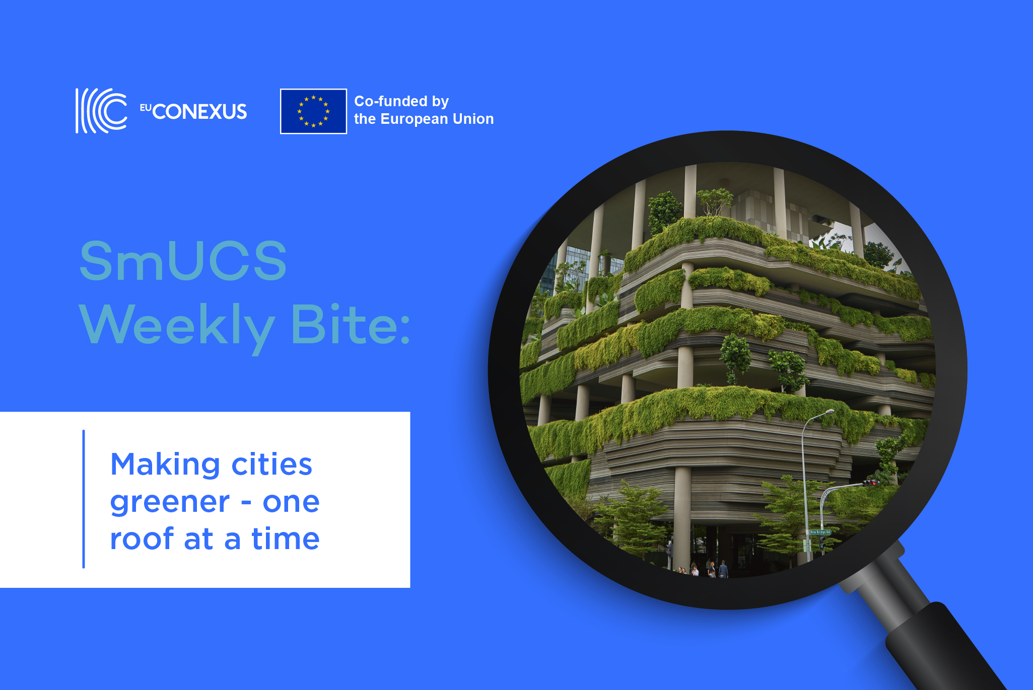 SmUCS Weekly Bite | Making cities greener – one roof at a time