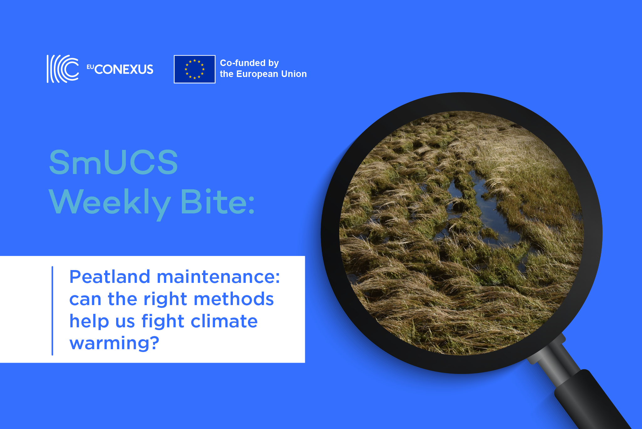 Peatland maintenance: can the right methods help us fight climate warming?