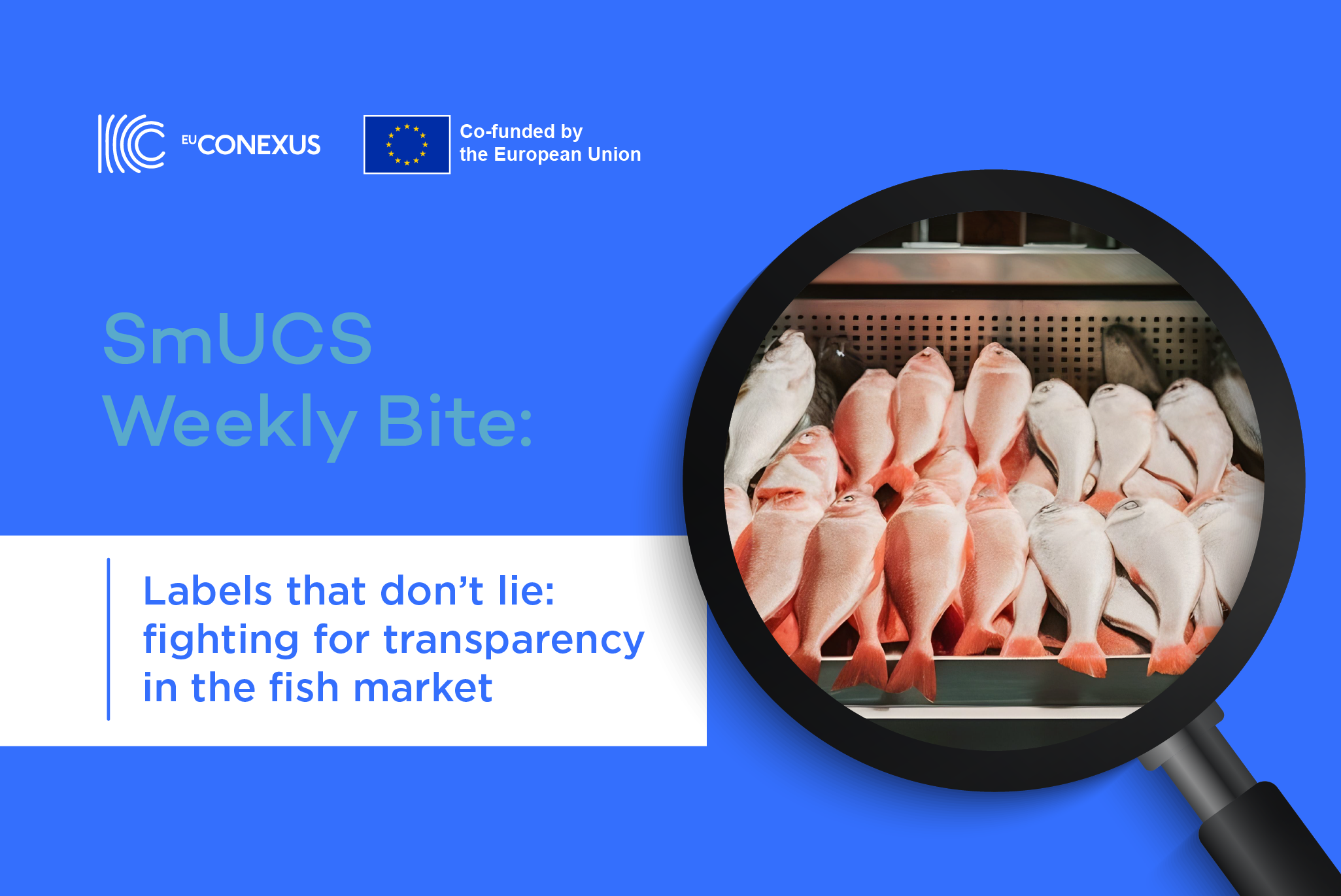 SmUCS Weekly Bite | Labels that don’t lie: fighting for transparency in the fish market