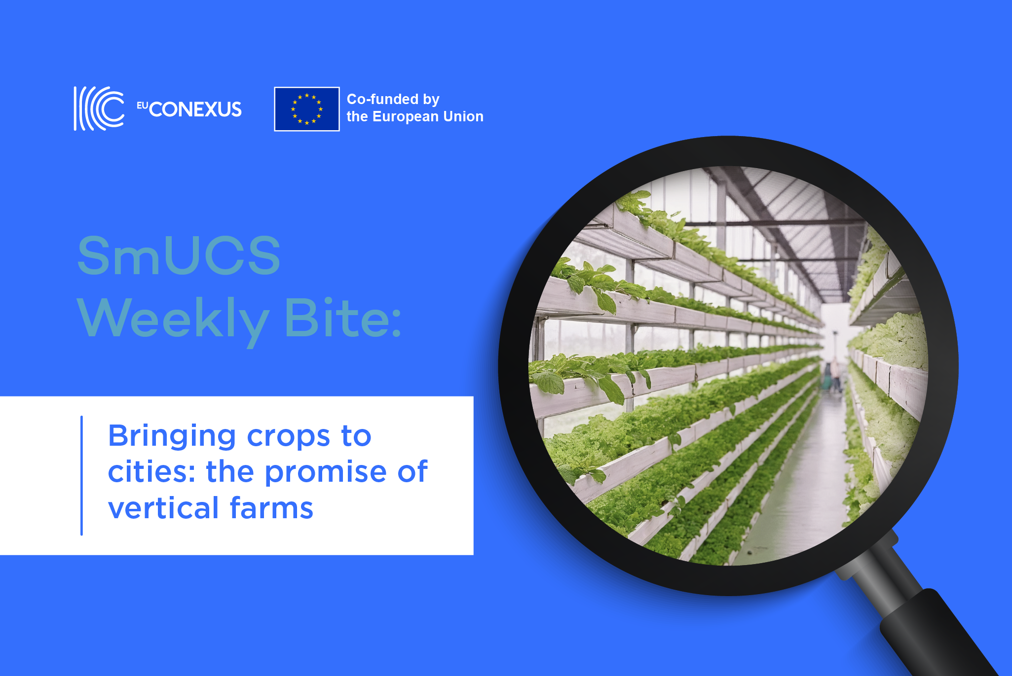 SmUCS Weekly Bite | Bringing crops to cities: the promise of vertical farms