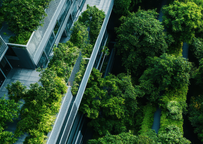 Green Infrastructure