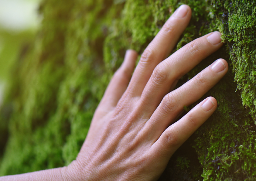 Emotional Sustainability & Internal Marketing: Inside Out Approaches to Work