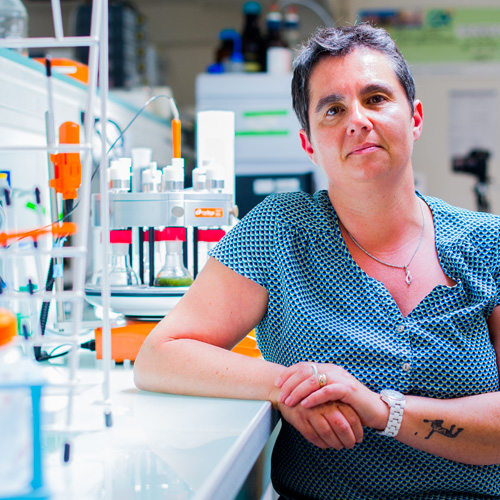 Prof. Ingrid Arnaudin