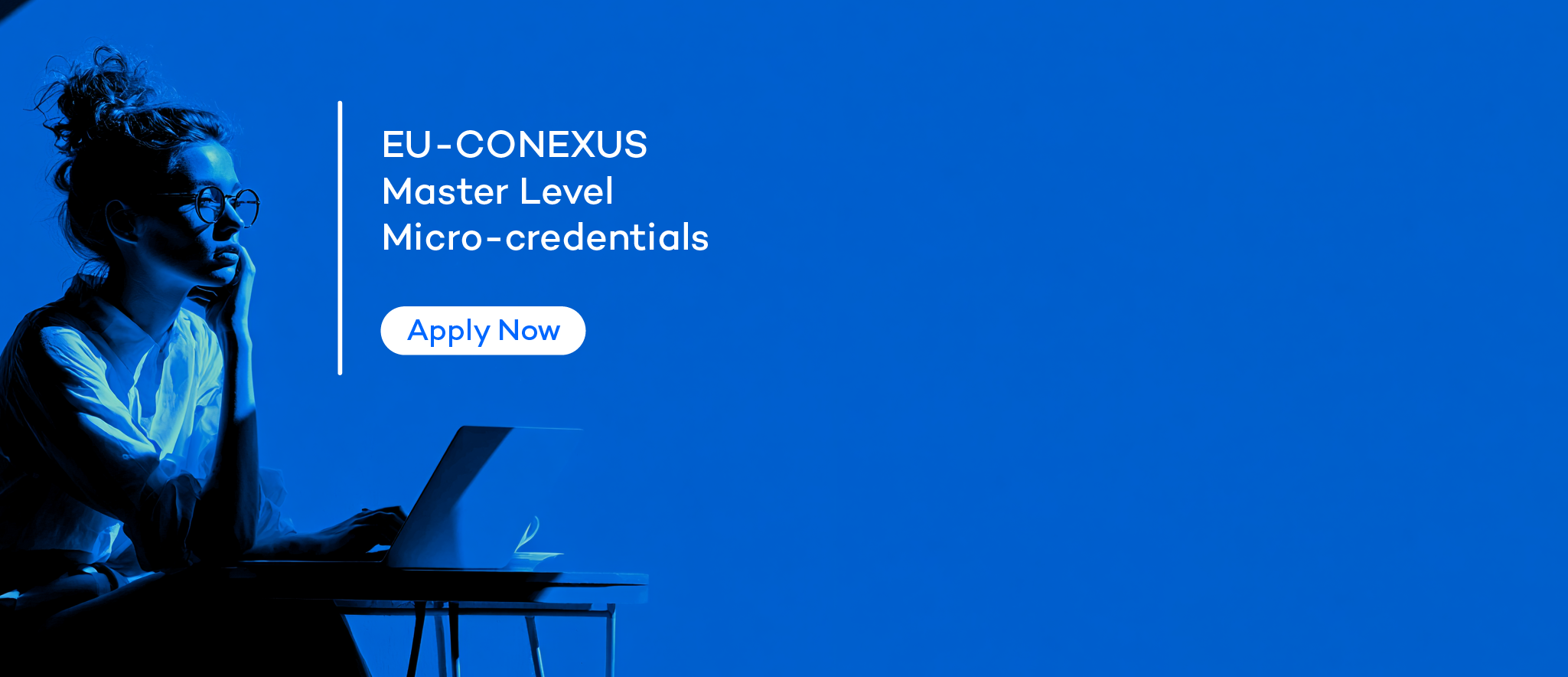 Micro-credentials at Master level