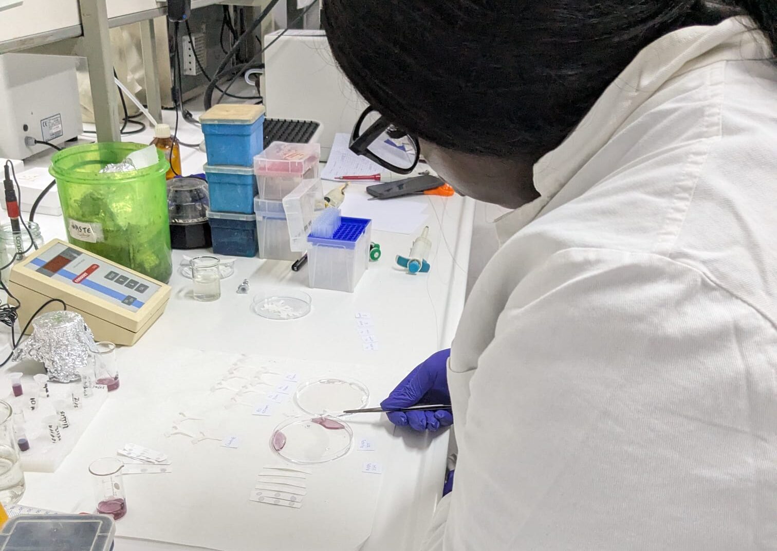 EU-CONEXUS mobility enhances Aaliyah’s research skills