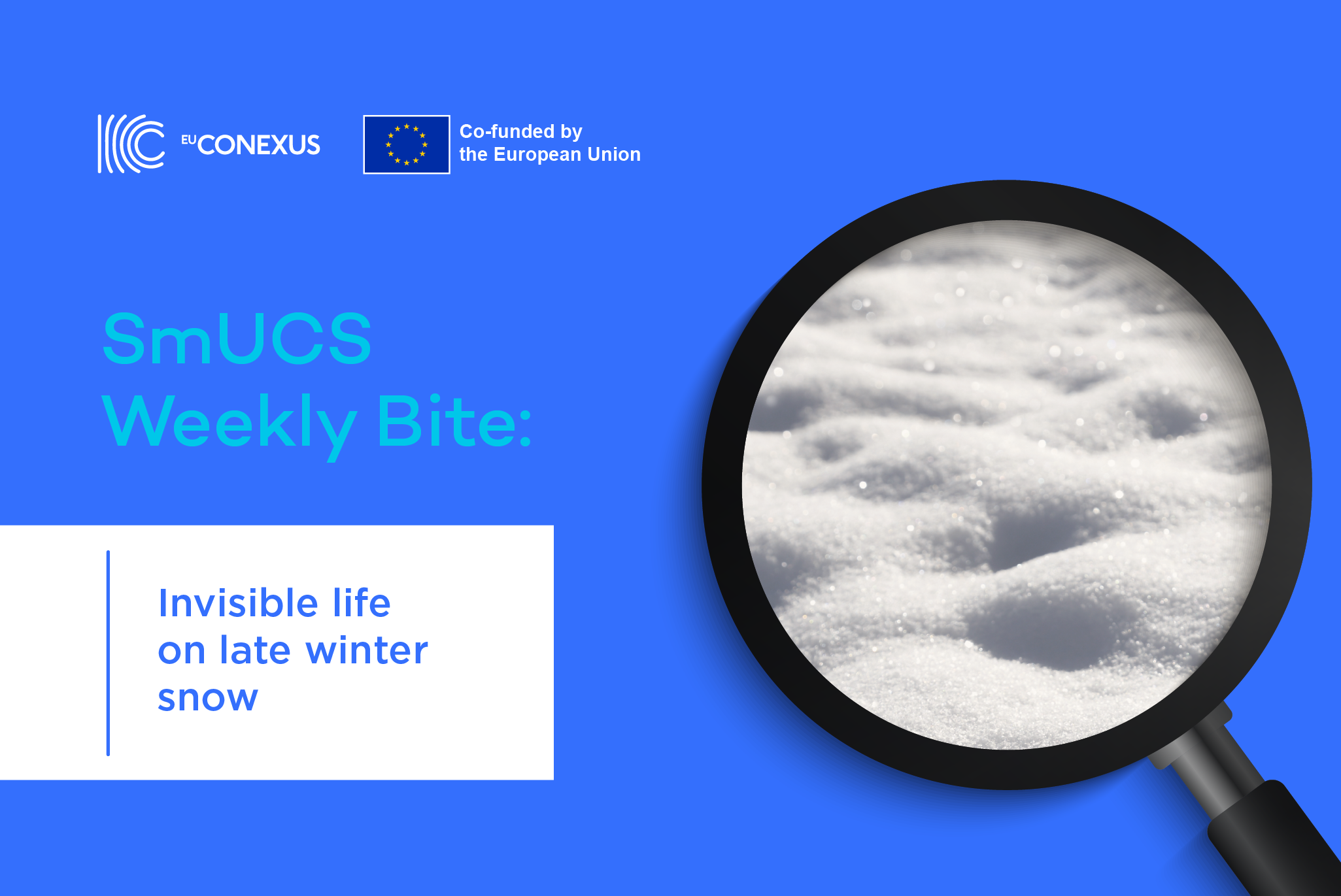 SmUCS Weekly Bite | Invisible life on late winter snow
