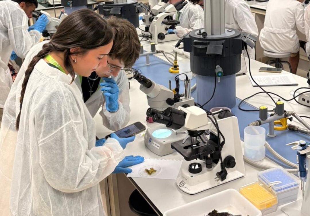 From screen to lab: how the final phase of AlgaeQuest came to life in Valencia