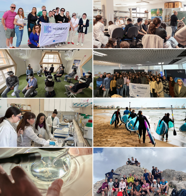 EU-CONEXUS Closing Workshop Highlights Student Research Achievements