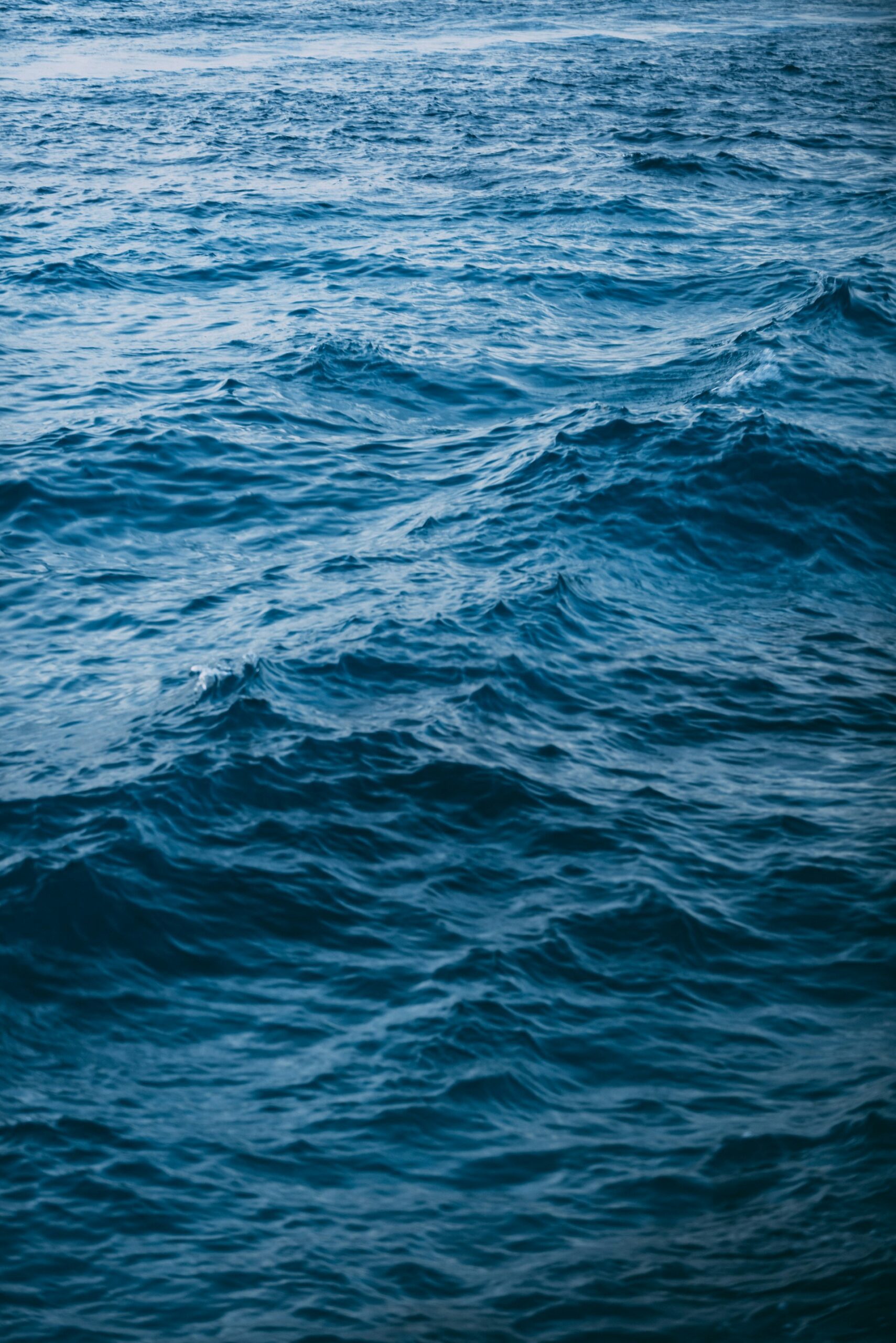 Atmospherically induced high-frequency sea-level extremes: insights from the Adriatic Sea meteotsunami monitoring and warning network