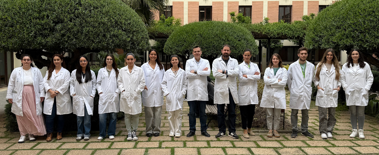 The Catholic University of Valencia develops a pioneering method to evaluate antiviral materials without high-security laboratories