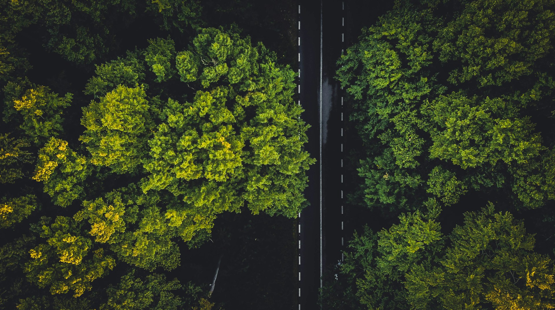 Common Agricultural Policy (CAP) and Sustainability