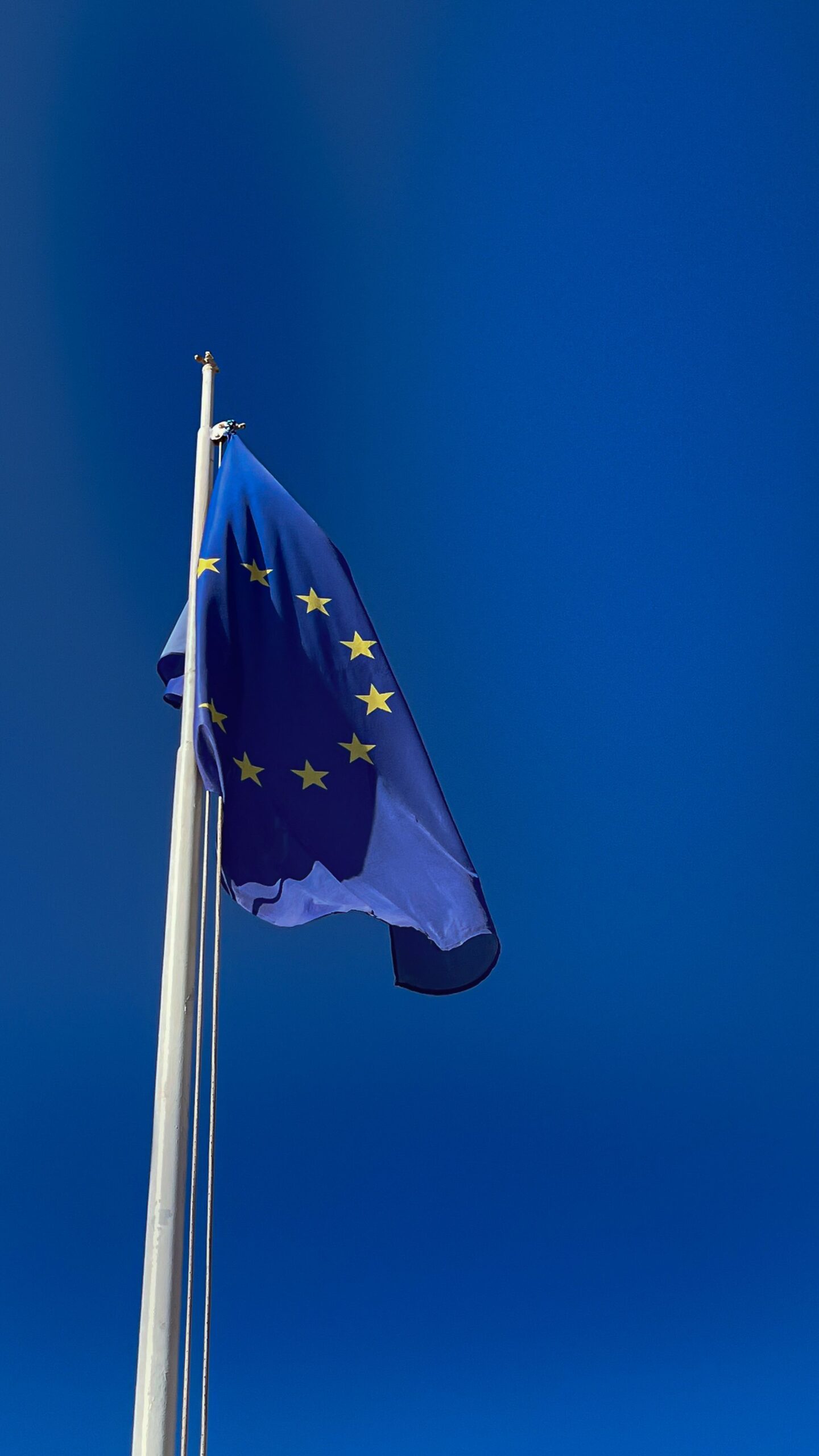 EU-CONEXUS reaffirms its commitment to European values, academic freedom and democratic citizenship