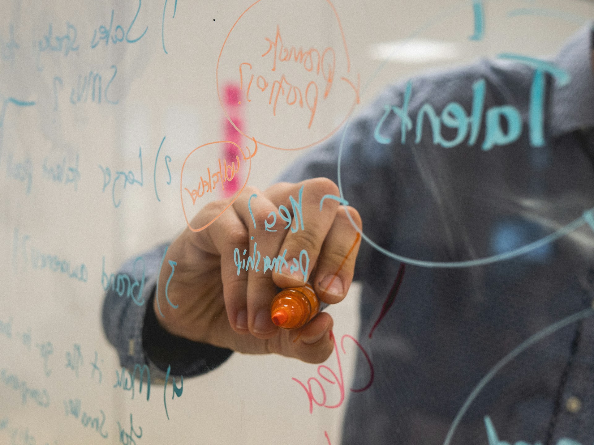 Online Workshop by EU-CONEXUS Office for Development of Study Offers (ODSO)